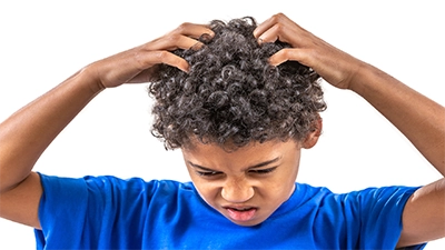 Lice treatment in progress